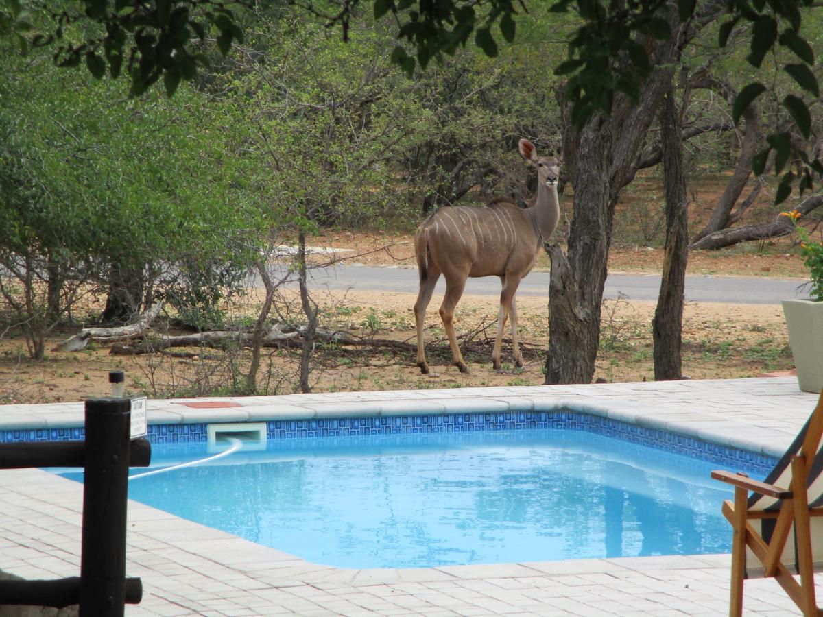 Woodpecker Lodge B&B โฮดสปรูท ภายนอก รูปภาพ